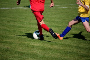 开云·Kaiyun网页版-“拳王争霸：四川省体育馆拳击赛将诞生新的世界拳王”